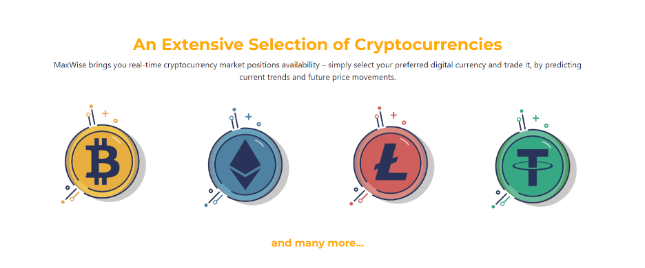 Maxwise Cryptocurrencies Assets